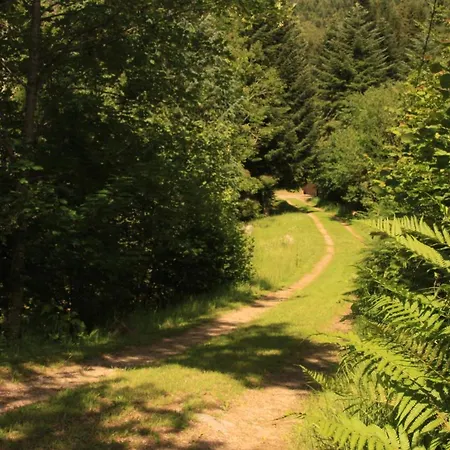 Notre Dame Des Monts Hotel Ban-sur-Meurthe-Clefcy