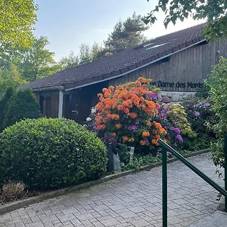 Notre Dame Des Monts * Ban-sur-Meurthe-Clefcy