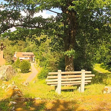 Notre Dame Des Monts *