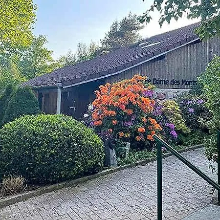 Notre Dame Des Monts * Ban-sur-Meurthe-Clefcy