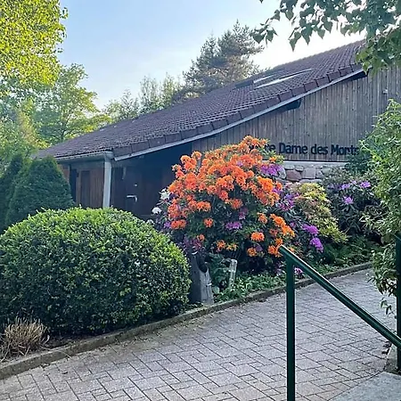Hotel Notre Dame Des Monts Ban-sur-Meurthe-Clefcy