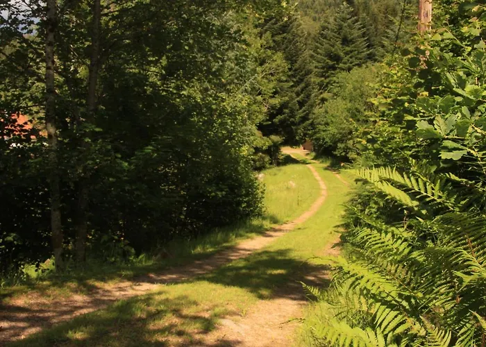 Notre Dame Des Monts Hotel Ban-sur-Meurthe-Clefcy