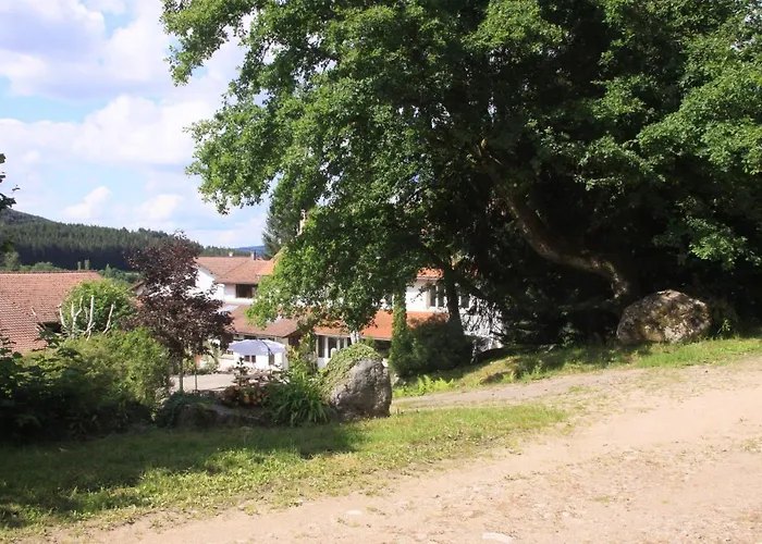 Notre Dame Des Monts