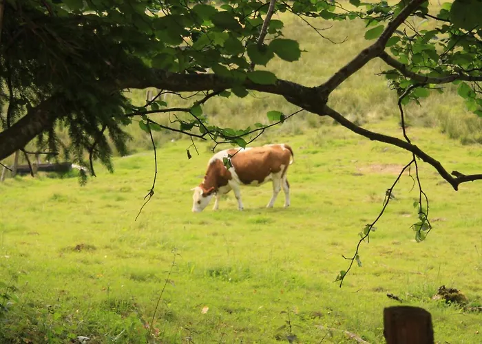 Hotel Notre Dame Des Monts Ban-sur-Meurthe-Clefcy
