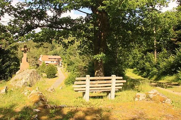 Notre Dame Des Monts *