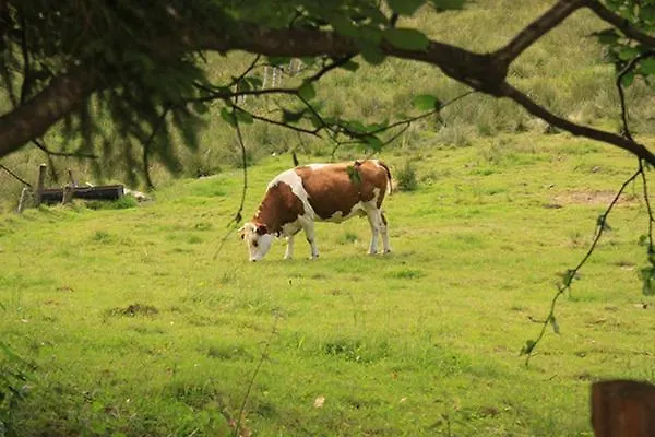 Notre Dame Des Monts Ξενοδοχείο