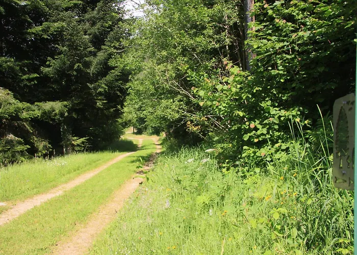 Hotel Notre Dame Des Monts *